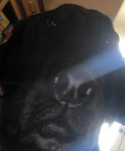 Meet your Posher, Caleb